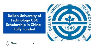 Dalian University of Technology CSC Scholarship