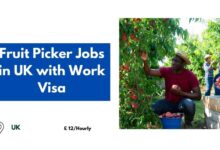 Fruit Picker Jobs in UK with Work Visa