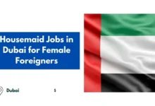 Housemaid Jobs in Dubai