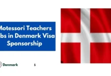 Montessori Teachers Jobs in Denmark