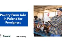 Poultry Farm Jobs in Poland for Foreigners