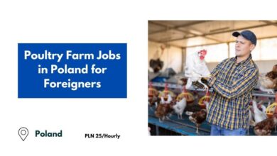 Poultry Farm Jobs in Poland for Foreigners