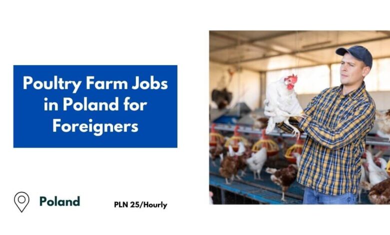 Poultry Farm Jobs in Poland for Foreigners