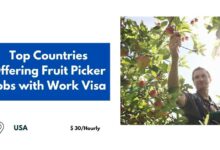 Top Countries Offering Fruit Picker Jobs with Work Visa