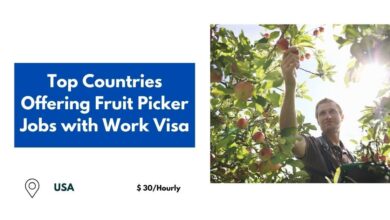 Top Countries Offering Fruit Picker Jobs with Work Visa