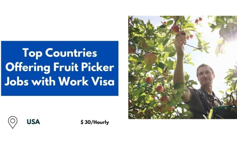 Top Countries Offering Fruit Picker Jobs with Work Visa