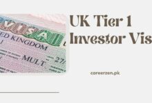 UK Tier 1 Investor Visa