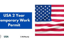 USA 2 Year Temporary Work Permit