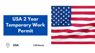 USA 2 Year Temporary Work Permit