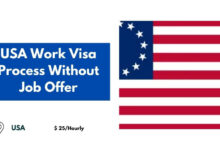 USA Work Visa Process Without Job Offer