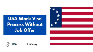 USA Work Visa Process Without Job Offer