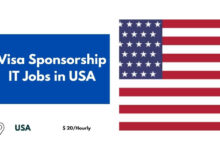 Visa Sponsorship IT Jobs in USA