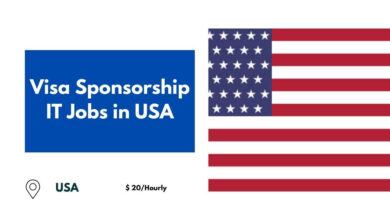 Visa Sponsorship IT Jobs in USA