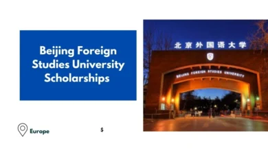 Beijing Foreign Studies University Scholarships