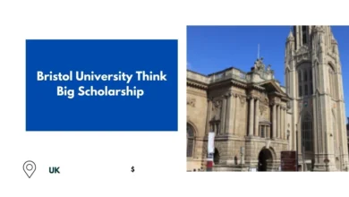 Bristol University Think Big Scholarship