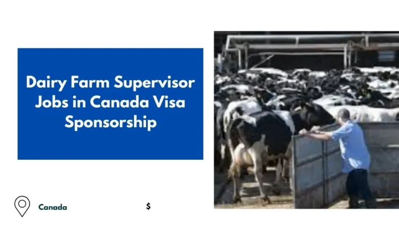 Dairy Farm Supervisor Jobs in Canada