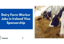 Dairy Farm Worker Jobs in Ireland