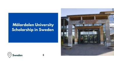 Mälardalen University Scholarship