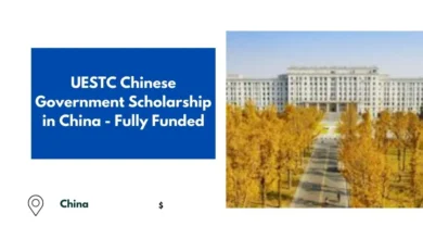 UESTC Chinese Government Scholarship