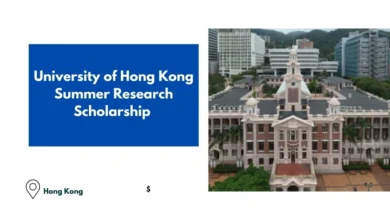 University of Hong Kong Summer Research Scholarship 