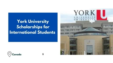 York University Scholarships 