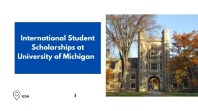 International Student Scholarships at University of Michigan