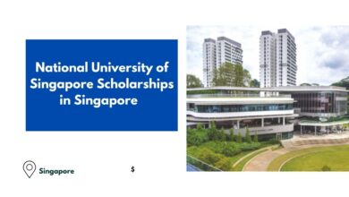 National University of Singapore Scholarships in Singapore