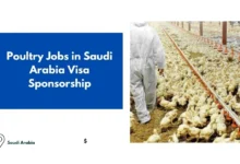 Poultry Jobs in Saudi Arabia