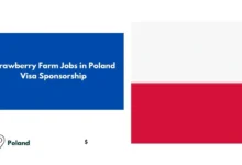 Strawberry Farm Jobs in Poland