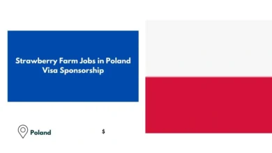 Strawberry Farm Jobs in Poland