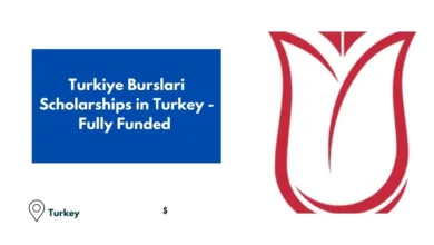 Turkiye Burslari Scholarships in Turkey