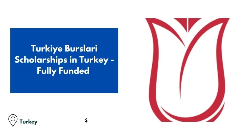 Turkiye Burslari Scholarships in Turkey