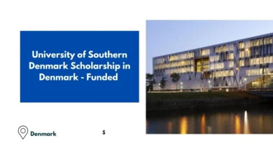 University of Southern Denmark Scholarship