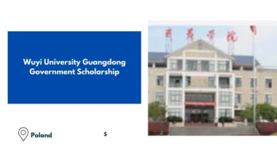 Wuyi University Guangdong Government Scholarship